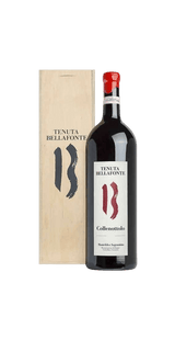 Collenottolo 2013 - Tenuta Bellafonte